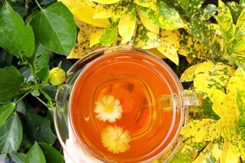 Trà Ôlong Hoa Cúc (Nóng)                                            Chrysanthemum Oolong Tea (Hot) - Ảnh 1