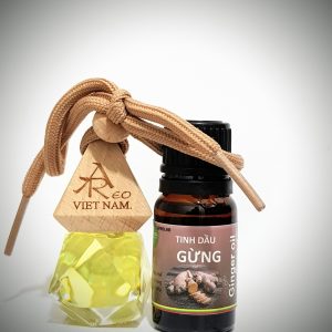 TINH DẦU GỪNG (lọ 10ml hoặc treo) - Ảnh 1