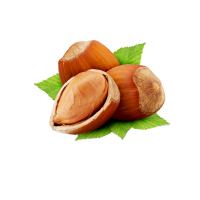 Hazelnut - Ảnh 1