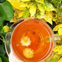 Trà Ôlong Hoa Cúc (Nóng)                                            Chrysanthemum Oolong Tea (Hot) - Ảnh 1