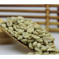 HẠT CÀ PHÊ TYPICA THUẦN CHỦNG - Ảnh 1