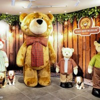 Bảo Tàng Gấu TEDDY BEAR - Khách hàng cao từ 140cm - Ảnh 1