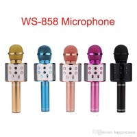 Mic Karaoke 858 - Ảnh 1