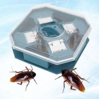 Dụng cụ bắt gián - Ảnh 1