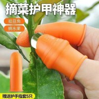 Bộ bấm rau củ quả - Ảnh 1