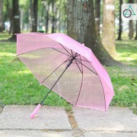 DÙ TRONG SUỐT MÀU HỒNG - Ảnh 1