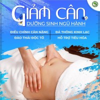 Giảm Cân Dưỡng sinh ngũ hành - Ảnh 1