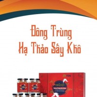 Nấm Đông Trùng Hạ Thảo Tươi - Ảnh 1