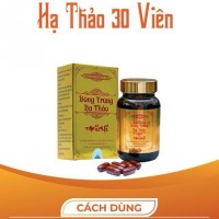 Viên Nang Đông Trùng Hạ Thảo - Ảnh 1