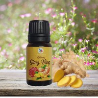 Hương Gừng Vàng - Ảnh 1