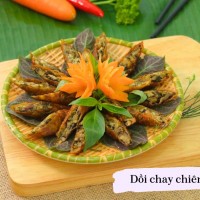 Dồi Chay - Ảnh 1