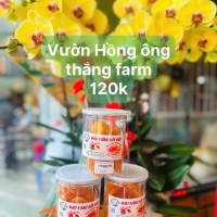 Đào Vàng Sấy Dẻo - Ảnh 1