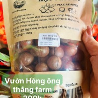 Hạt Macca - Ảnh 1