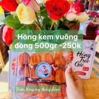 Hồng treo gió nhiều nắng - Ảnh 1