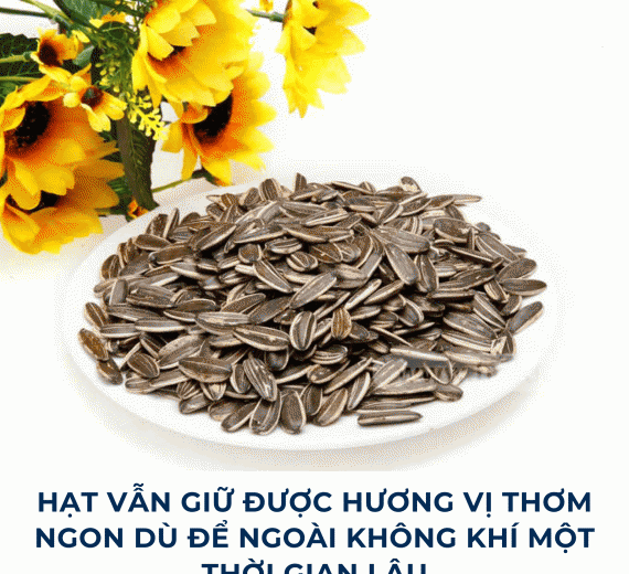 Hướng dương dừa