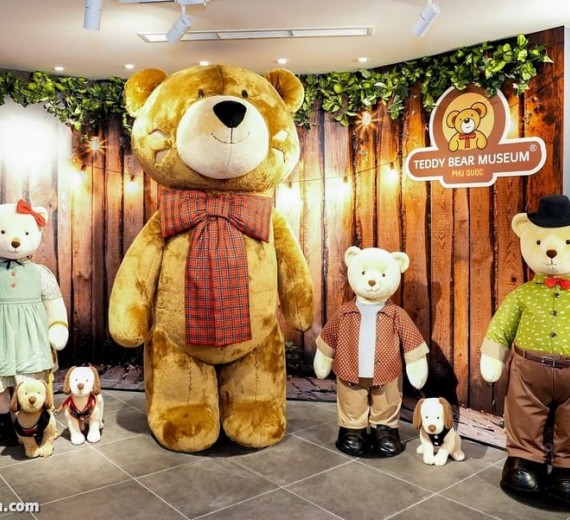 Bảo Tàng Gấu TEDDY BEAR - Khách hàng cao từ 140cm