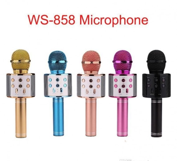 Mic Karaoke 858