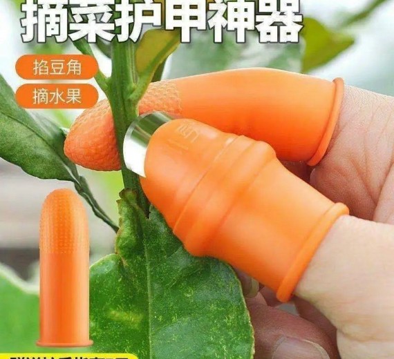 Bộ bấm rau củ quả