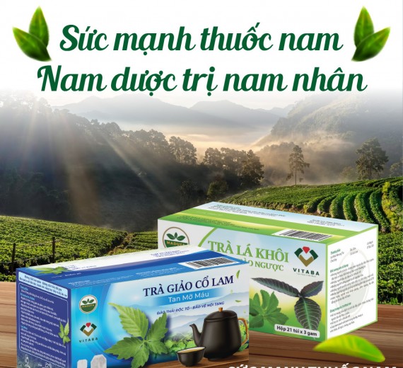 Trà Giảo Cổ Lan Tan Mỡ Máu