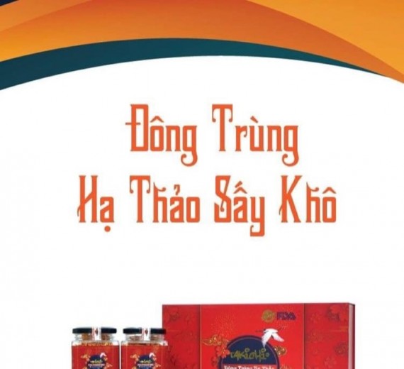 Nấm Đông Trùng Hạ Thảo Sấy Khô