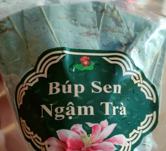 Búp Sen Ngậm Trà Tươi