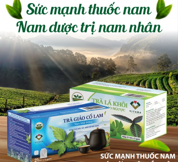 Trà Giảo Cổ Lan Tan Mỡ Máu