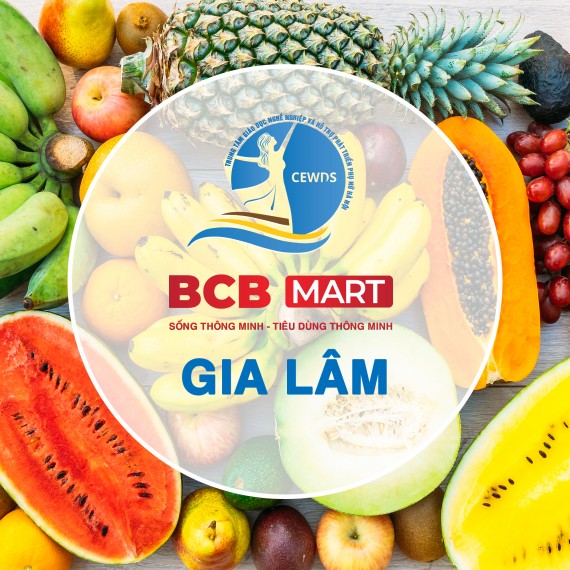 BCB MART GIA LÂM