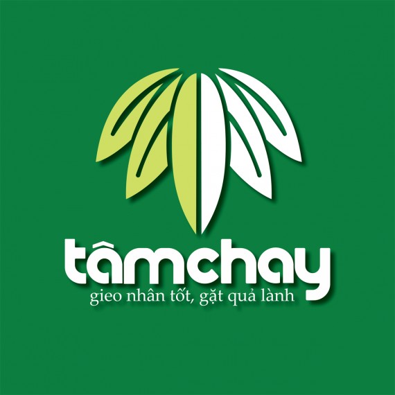 Buffet Lẩu Tâm Chay