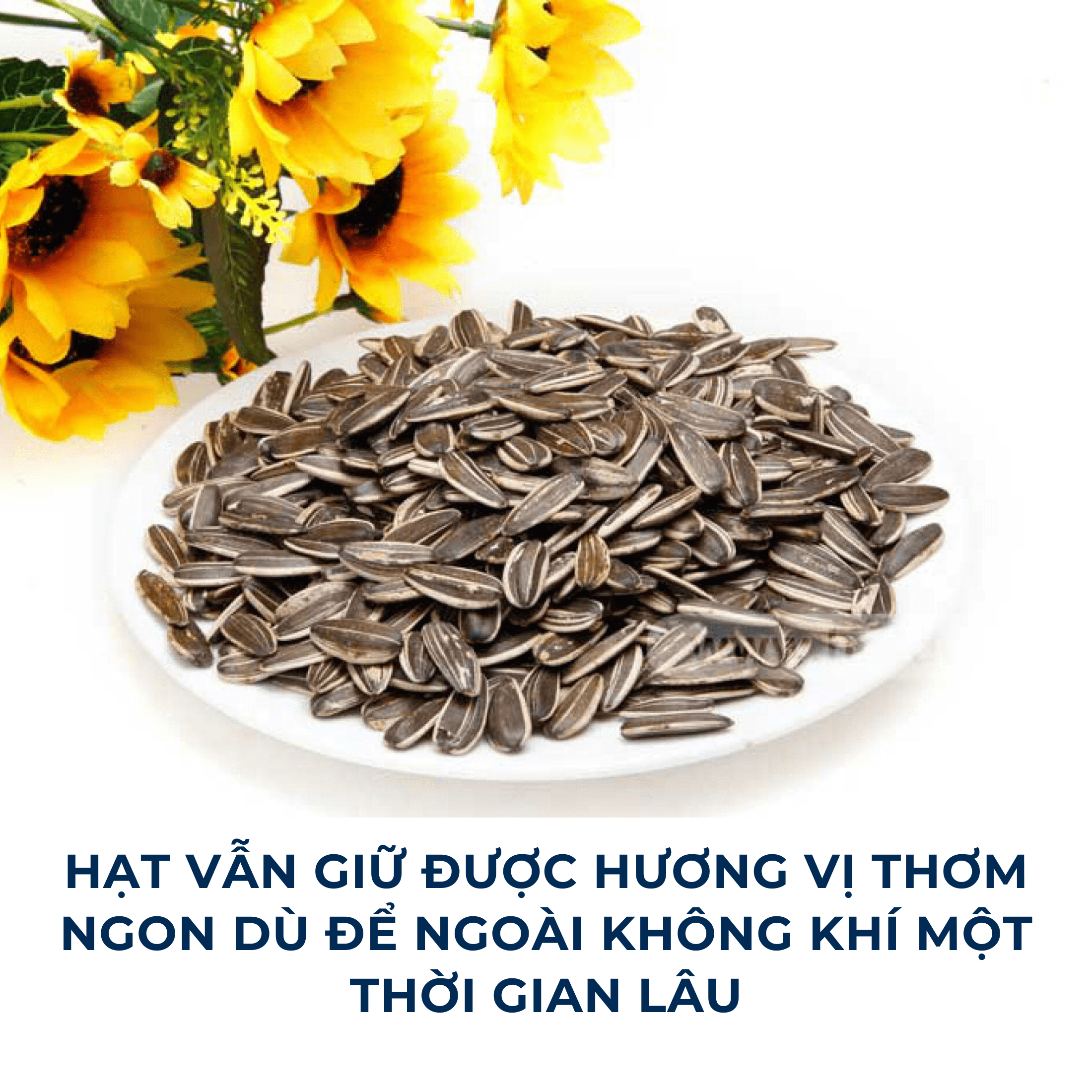 Hướng dương dừa - Ảnh 1