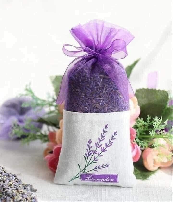 TÚI THƠM LAVENDER - Ảnh 1