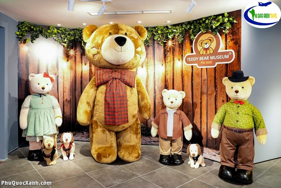 Bảo Tàng Gấu TEDDY BEAR - Khách hàng cao từ 140cm - Ảnh 1