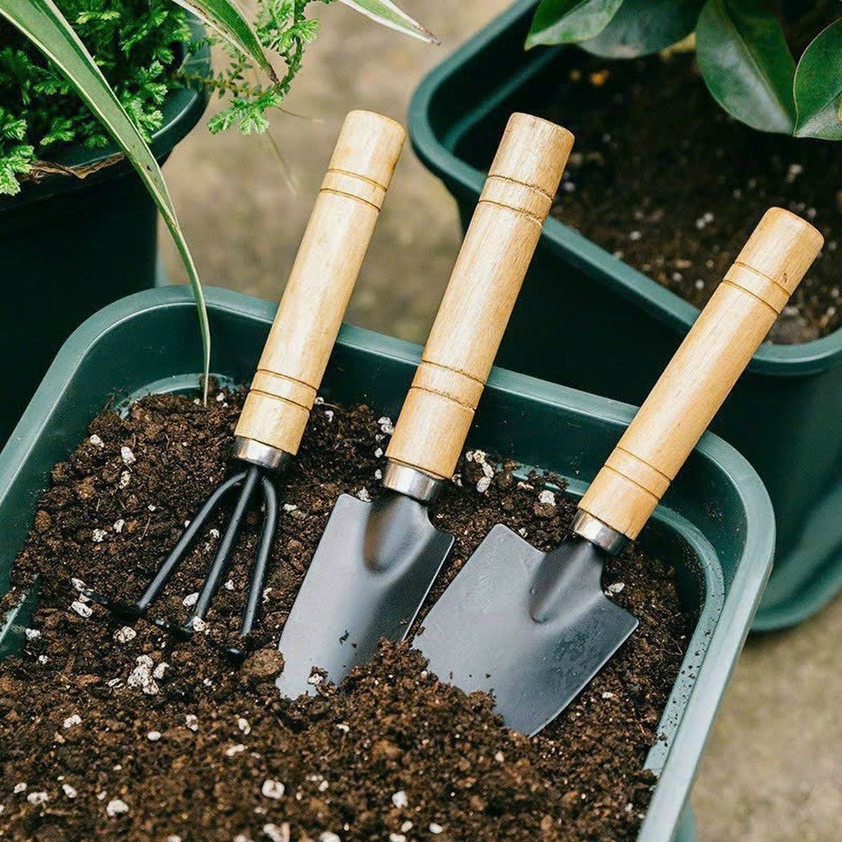 Bộ 3 Món Dụng Cụ Làm Vườn To - Ảnh 1