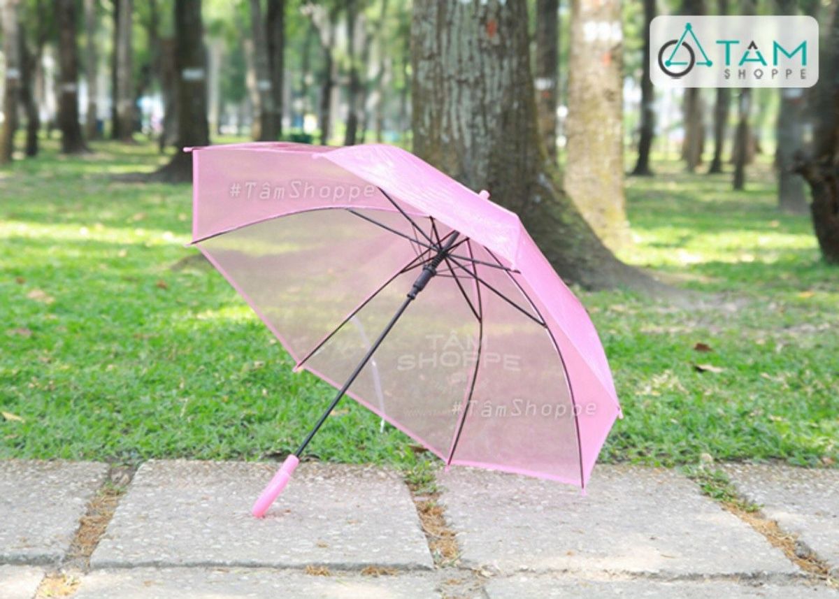 DÙ TRONG SUỐT MÀU HỒNG - Ảnh 1