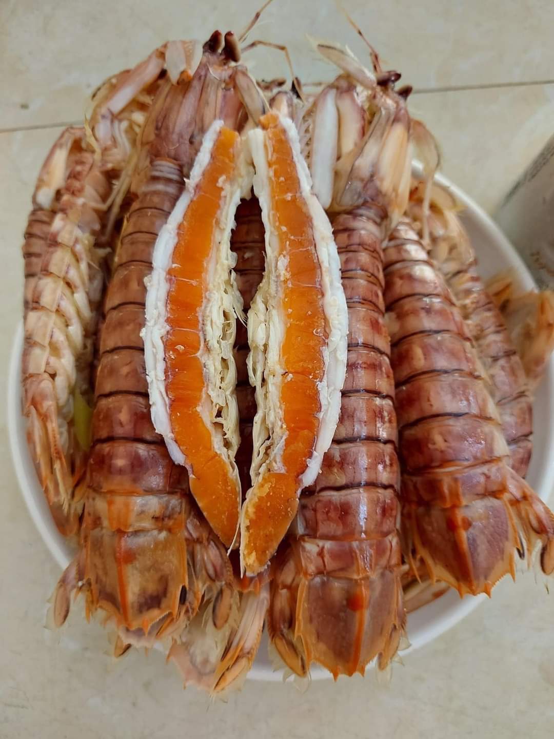 Bề bề