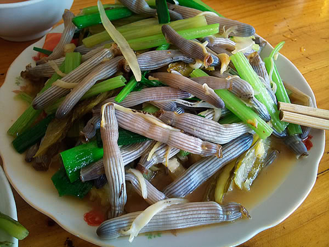 Sâu đất xào