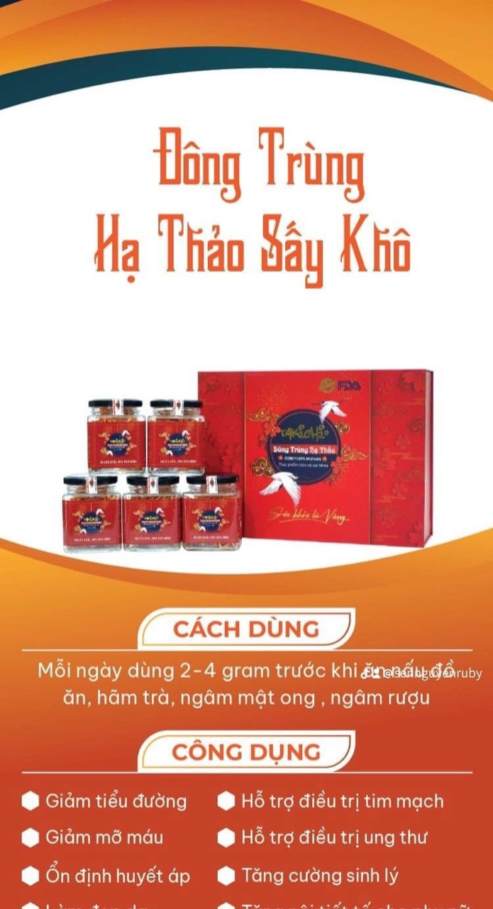 Nấm Đông Trùng Hạ Thảo Tươi - Ảnh 1